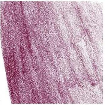 Faber-Castell Polychromos Lápiz de Color para Artistas, Rosa