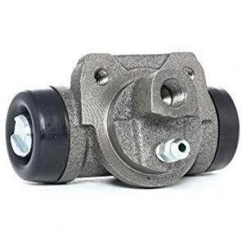 Cilindro de freno de rueda RIDEX 277W0038 para FORD, NISSAN, LDV - Ambos lados del puente trasero con válvula de respiradero y rosca M10x1.0
