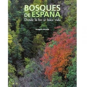 Bosques de España