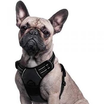 Eagloo Arnes de Perro Antitirones Cómodo Chaleco Ajustable Correa al Cuello y Pecho para Perros Pequeños Material Duradero Transpirable con Cinta Reflectante Adaptarse a Ejercer Externo S/Negro
