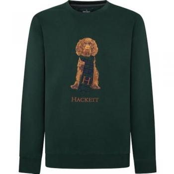 Sudadera de hombre cuello redondo Hackett Harry bordado verde, casual, algodón, manga larga