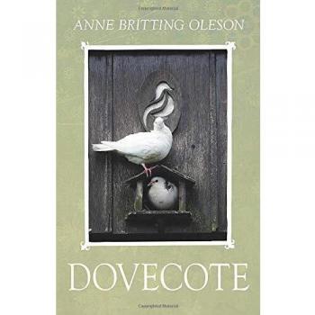 Dovecote: A Contemporary Birdhouse with Modern Design Elements
