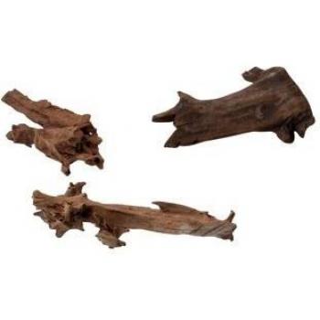 Aqua Della Decor Madera, 15 a 25 cm, Jati, 1 unidad