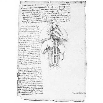 Leonardo's Anatomical Drawings