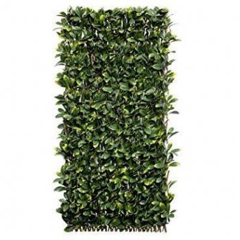 Faura - Celosia Extensible de Mimbre - Hoja Laurel