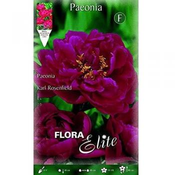 Bulbo Peonia roja 1 unidad