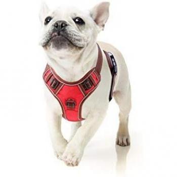 HEELE Arnés Perro de Malla Suave Acolchado Arnés con Correa Reflectante Correa Ajustable para Entrenamiento Diario Arnés Antitirones Perros Chaleco Cómodo Mascotas Rojo S