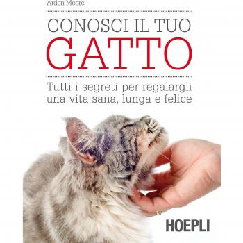 Conoci tu gato - Juego de cartas educativo para dueños de gatos, incluye 100 tarjetas con información sobre razas, comportamiento y cuidados felinos, diseñado para aprender mientras te diviertes