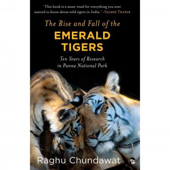 El Ascenso y Caída de los Tigres Esmeralda: Diez Años de Investigación en el Parque Nacional Panna (Edición en Rústica)