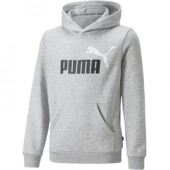 Sudadera Infantil Puma Essentials+ 2 Col Big Logo Gris Modelo 586987-04