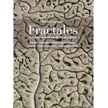 Fractales: Anatomía íntima de la marisma