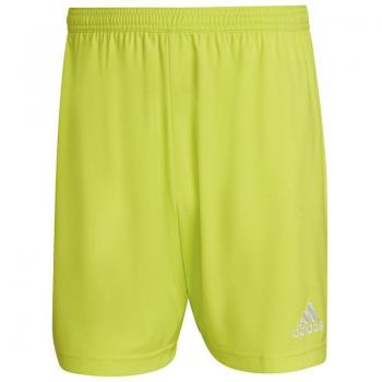 Pantalones Cortos Entrada 22 Verde Adidas