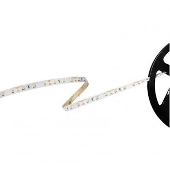 Tira LED Barthelme Basic 60, 5 m, 12 V, Blanco Cálido (2700 K), Extremo Abierto