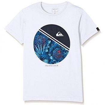 Quiksilver SS ClassicYouth Free Wheelin - Camiseta para niño, color blanco, talla XL