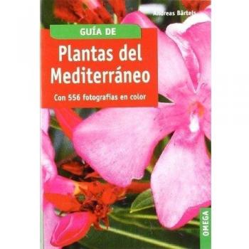 PLANTAS DEL MEDITERRANEO