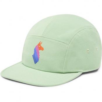 Cotopaxi Llama Stripes Unisex Green Flat Brim Cap - One Size