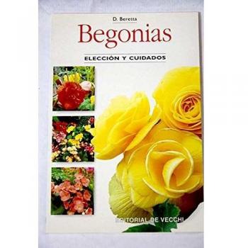 Begonias Eleccion Y Cuidados
