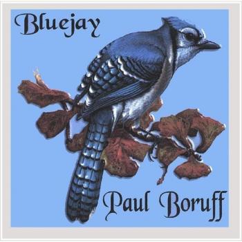 Bluejay