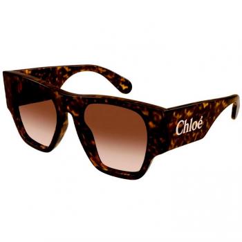 Chloé Havana Brown Sunglasses, Unisex, Size: 53 MM, Dark Havana Brown Gradient, Model CH0233S