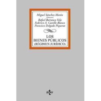 Los bienes públicos: