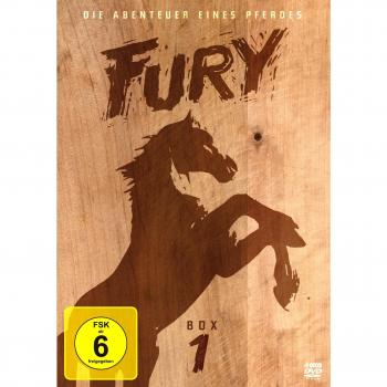 Fury [Alemania] [DVD]