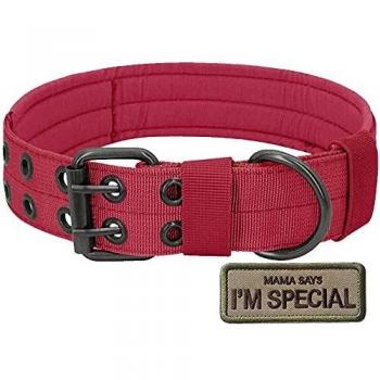S.Lux Collares de Perro de Nylon, Anti-Desgaste Entrenamiento táctico al Aire Libre Cinturones de Perro de led Collar de Perros Grandes Negro Verde Marrón Collar para tu Perro