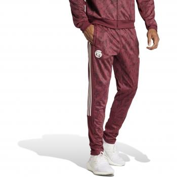 FC Bayern Munich 2023/24 Men's Training Pants - Shadow Red