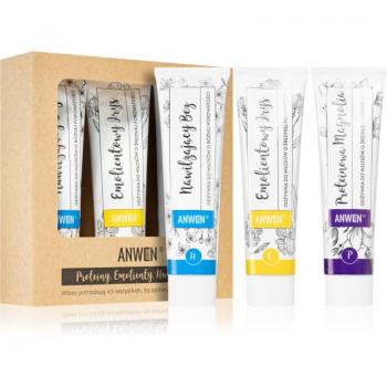 Anwen Set de Cuidado Capilar para Cabello de Porosidad Media - Iris, Magnolia (Acondicionador Nutritivo 3 X 100 Ml)