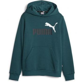 Puma Essentials+ 2 Colours Big Logo Hoodie Junior - Verde