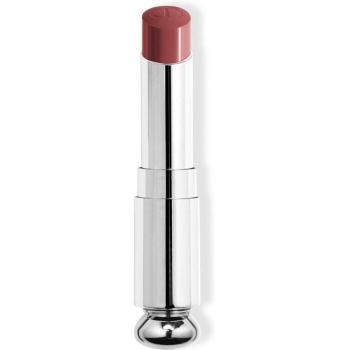 DIOR - Dior Addict Recarga De Barra De Labios Brillante 558 Bois de Rose