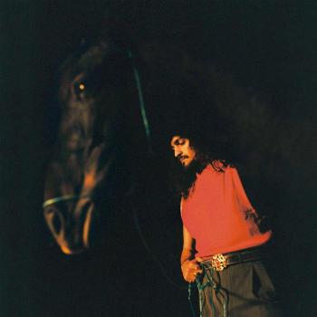 Pura Sangre (CD)