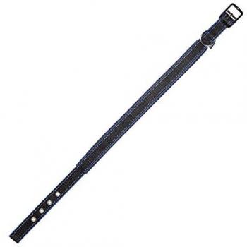 Arppe 2379014509 Collar Nylon Active Line, Negro