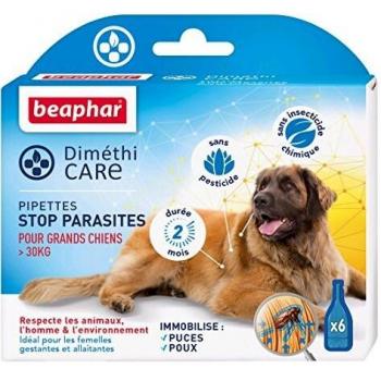 Pipettes stop parasites grand chien