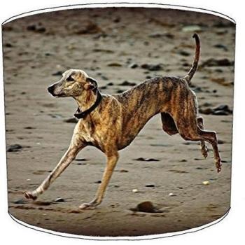 12 Inch Ceiling Whippet lampshade 14