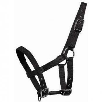 Halfter Waldhausen Mini Shetty Negro con diseño moderno