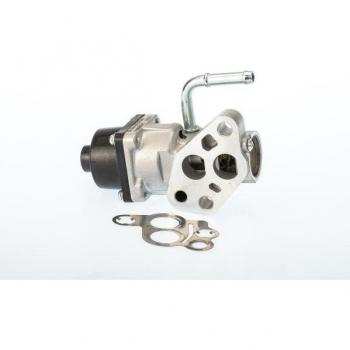 Válvula EGR BorgWarner Wahler 710935D/710949D/1, compatible con diversos modelos de vehículos, fabricada con materiales de alta calidad para asegurar un rendimiento óptimo y duradero, diseñada para controlar el flujo