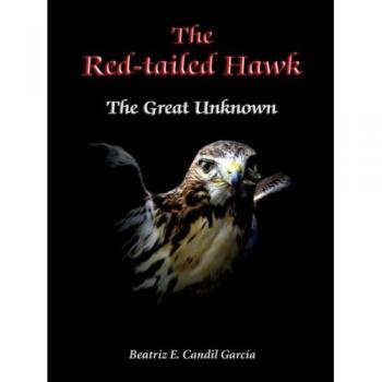 The Red-Tailed Hawk: The Great Unknown