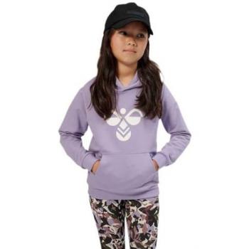 Hummel Cuatro Lavender/Grey Children's Hoodie, Unisex, Size 16 Years