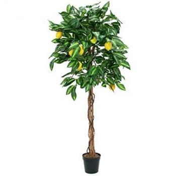 Europalms 82507815 - Árbol de limón, 150 cm, Talla única