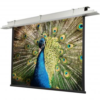 Pantalla de Proyección Eléctrica Empotrable Celexon Expert 250 x 190 cm, Formato 4:3