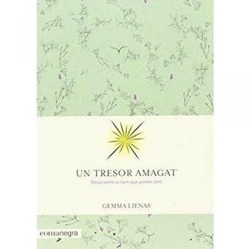 Un tresor amagat - Gemma Lienas Massot