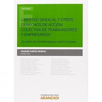Libertad sindical y otros derechos de acción colectiva de trabajadores y empresa: 20 casos de jurisprudencia constitucional