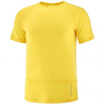 Camiseta de hombre Salomon Cross Run SS Tee M
