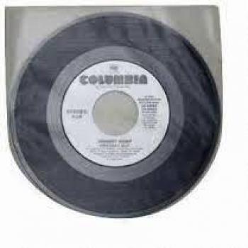 100 Fundas Interiores Redondas para Discos DE Vinilo Single 7