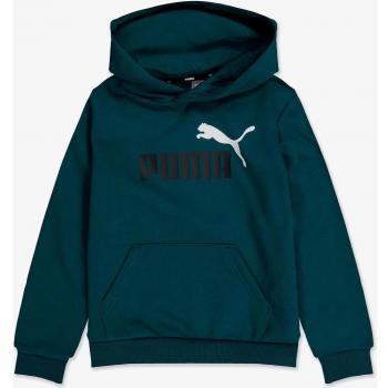 Puma Essentials+ Two-Tone Big Logo Hoodie Kids 586987-75 Green