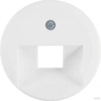 Berker Polar White Central Cover Plate for UAE Connection Socket 1407