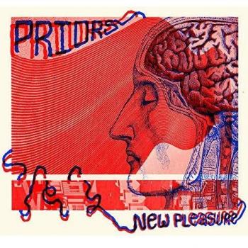 Nuevo Placer - Vinilo