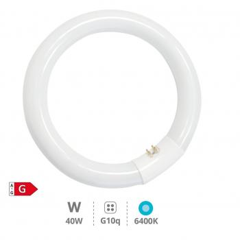 Tubo Fluorescente Circular T9 40W G10q 6400K