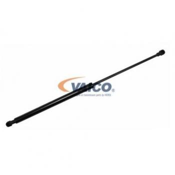VAICO V46-0519 Capó del motor