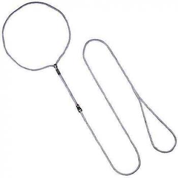 Arppe 2283010010 Collar Correa Nylon Exposición, Blanco